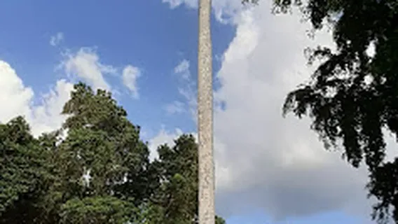 Prof. Juan Bosch Park