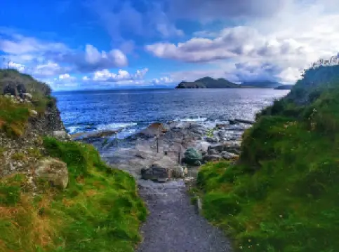 The Valentia Island Tetrapod Footprints