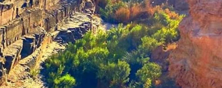 Camping Auberge Touareg