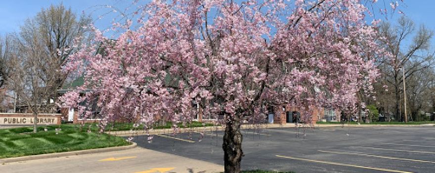 Benton Public Library
