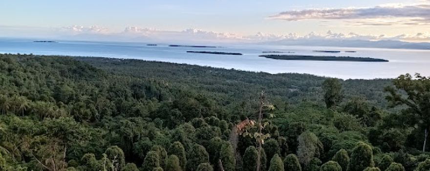 Kebun Gunung Kel. HAYATUDIN
