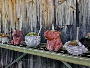 Paley's Farm Market