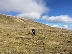 Mount Pelly