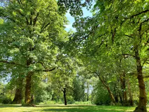 Stuart Grenfell County Park