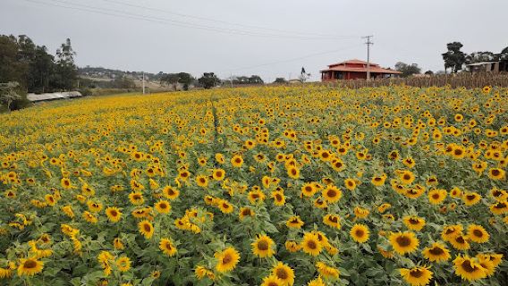 Sítio São José Campinas