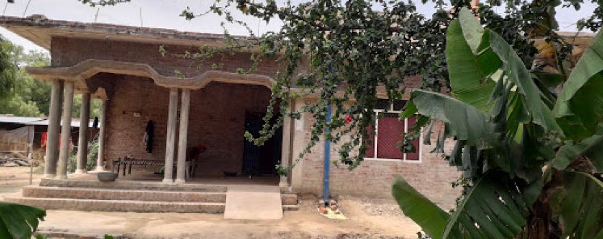Mango Garden Vidya Prakash