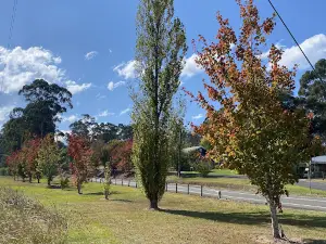 Mick Baum Park Playground