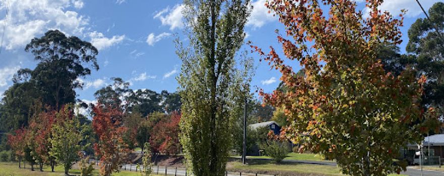 Mick Baum Park Playground