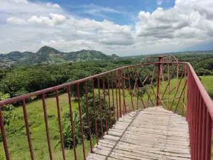 VIEWtiful DECK Nature Park