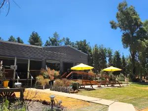 Little Eeden Farm Pine Camp