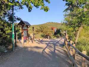 Vía verde del Aceite