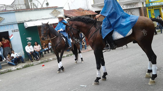 Campo Minerva