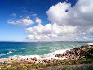 Freeman Lookout