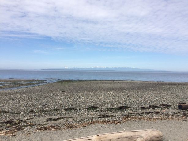 Meadowdale Beach Park