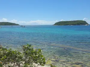 Vieques