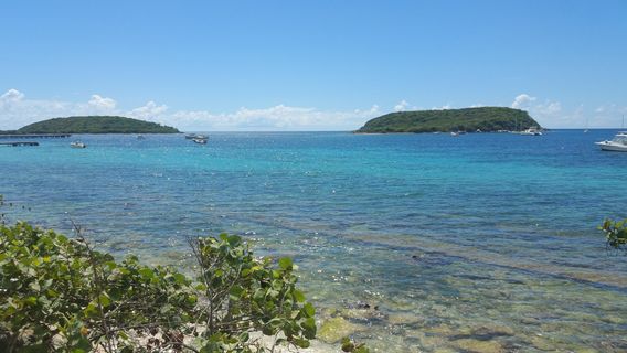 Vieques Island