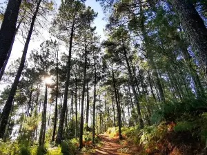 Parque Natura Monte Aloia