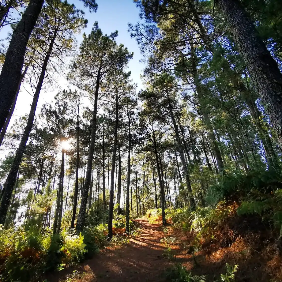 Hotels near Parque Natura Monte Aloia