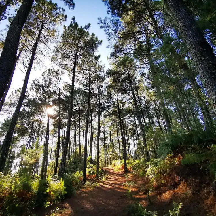 Hotels near Parque Natura Monte Aloia