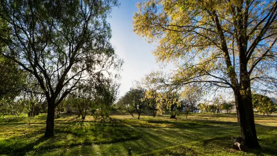 Jardin Botanico Univeristario BUAP