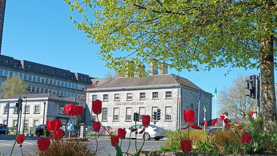 Limerick