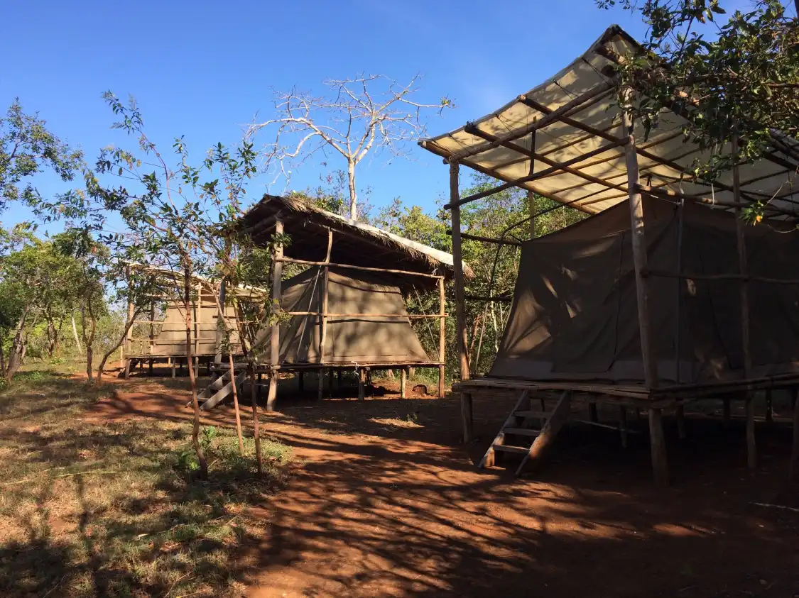 Hotels near Sam Veasna Conservation Tours (SVC)