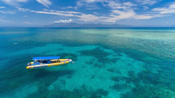 Ocean Safari