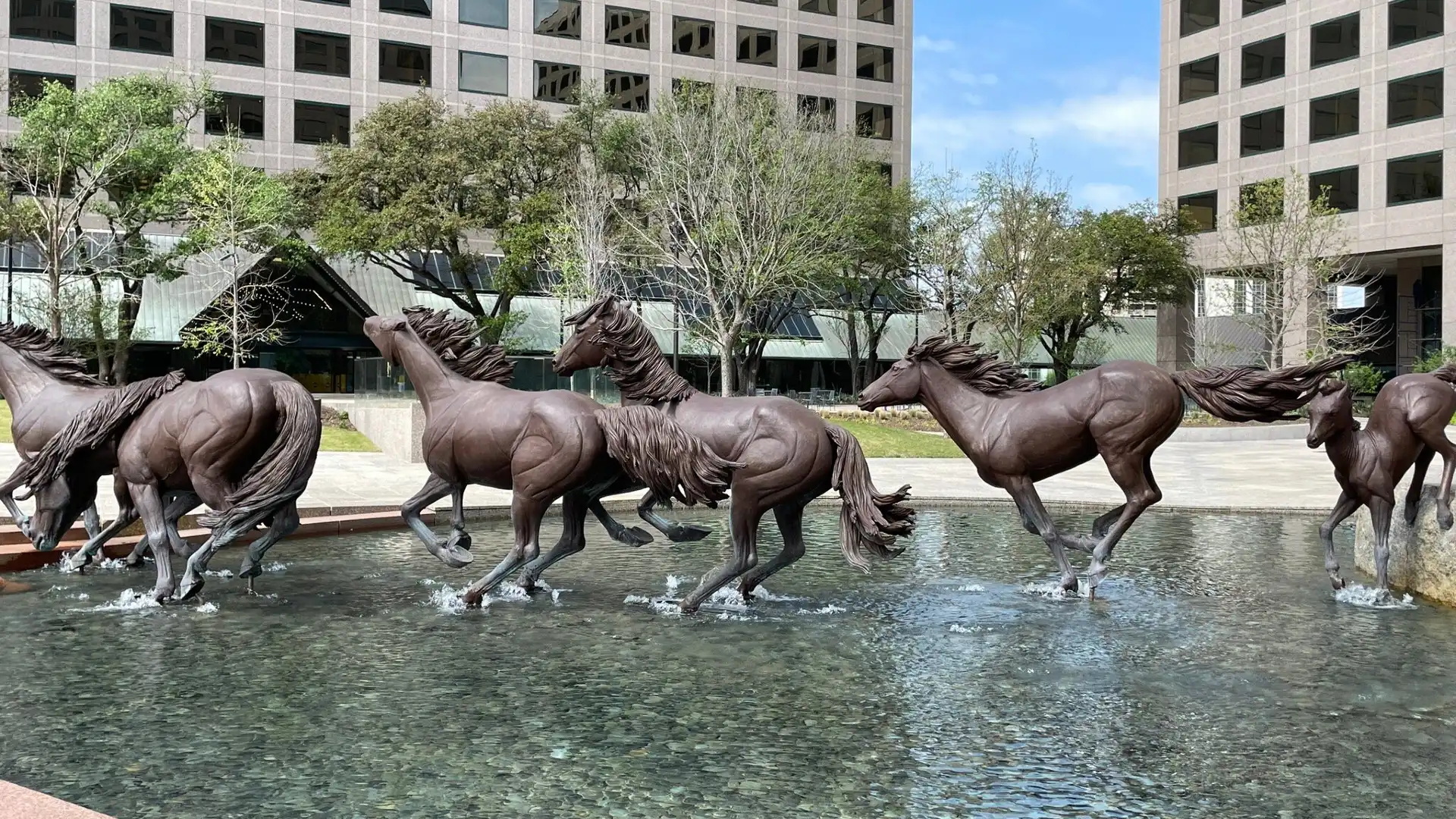 Hotels near The Mustangs of Las Colinas Sculpture and Museum and Visitors Center