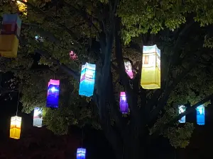慶尚南道的熱門夜間人氣景點