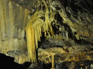 Mitchelstown Cave