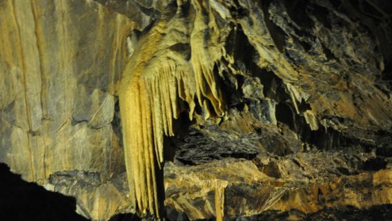 Mitchelstown Cave