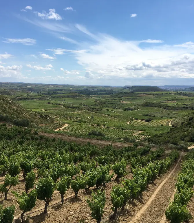 Lapuebla de Labarca