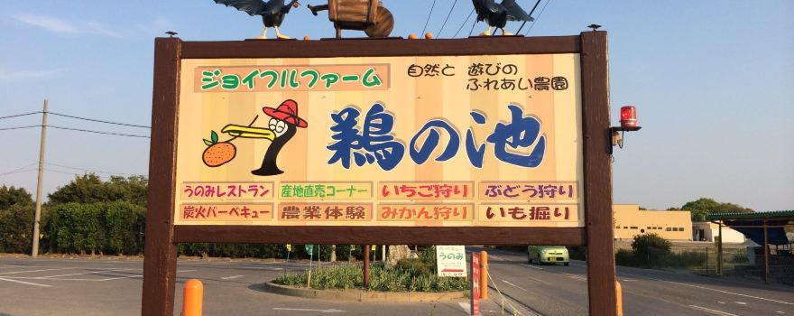Joyful Farm Unoike