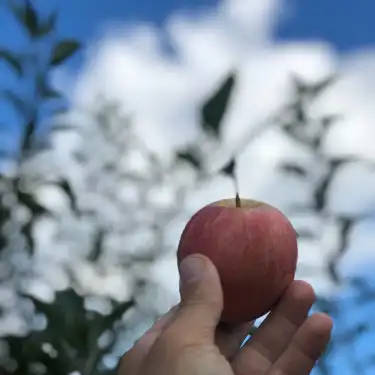 Hébergements Motel 6 à Béthel
