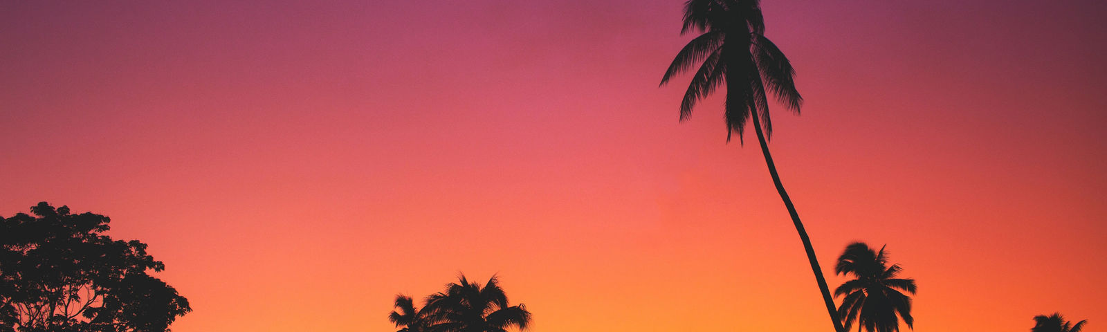 travel