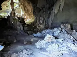 Bat Cave Bukit Lawang