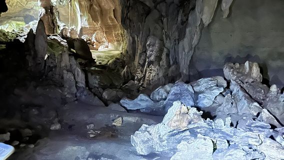 Bat Cave Bukit Lawang