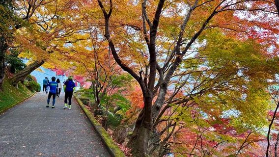 Kuji District