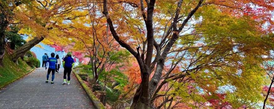 Eigen Temple.(Autumn maple leaves temple.)