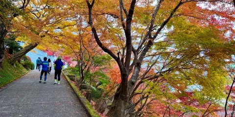 永源寺（紅葉寺）