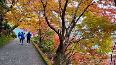 Eigen Temple.(Autumn maple leaves temple.)