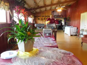 Red Barn Winery & Vineyards