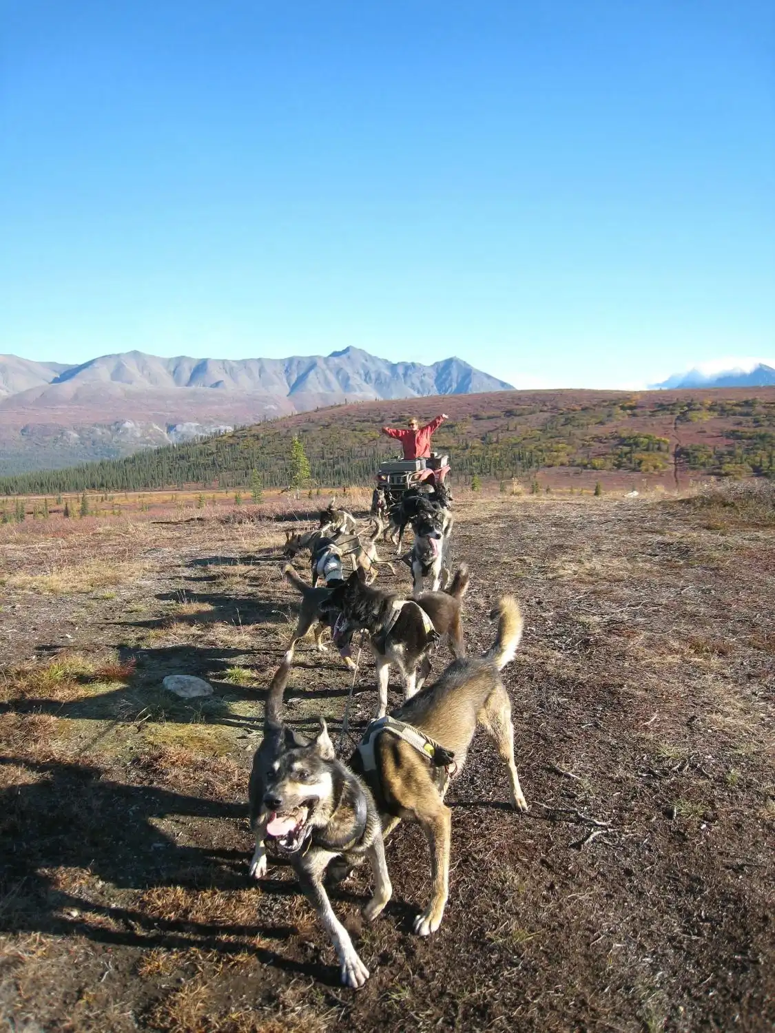 Hôtels à proximité de : Dog Gone It