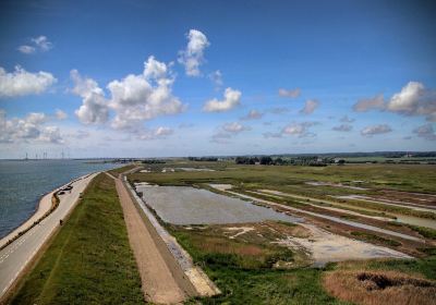 Plompetoren