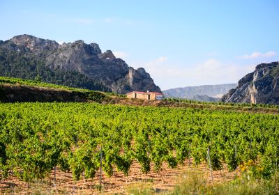 BODEGAS BILBAINAS