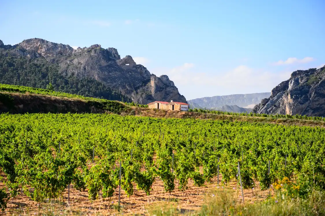 Hotels in der Nähe von Bodegas Bilbainas