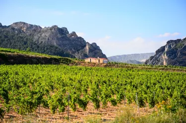 BODEGAS BILBAINAS