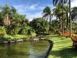 Jardim Botanico