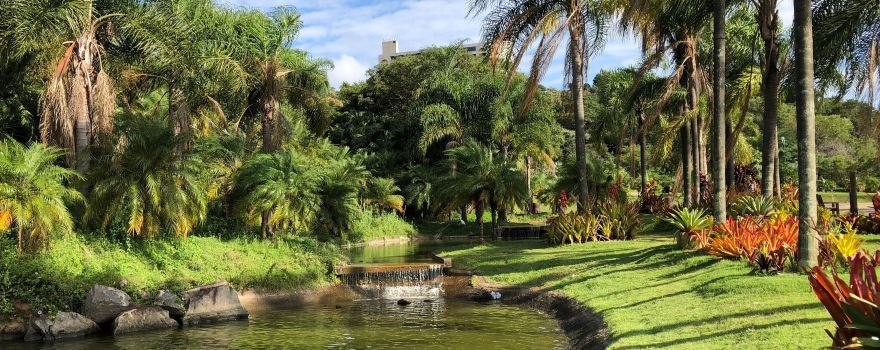 Jardim Botanico
