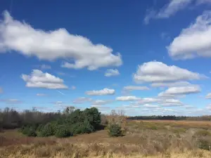 Woodland Dunes Nature Center & Preserve